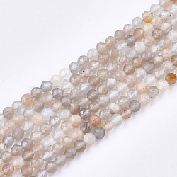 Natural Moonstone & Sunstone Beads Strands, Faceted, Round, 2.5mm, Hole: 0.5mm, about 159pcs/strand, 15.7 inch(X-G-T108-40A)