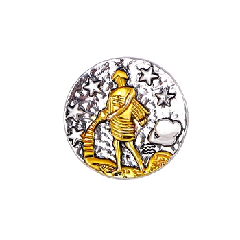 Constellation Alloy Pins, Round Brooch, Zodiac Sign Badge for Clothes Backpack, Aquarius, 18mm