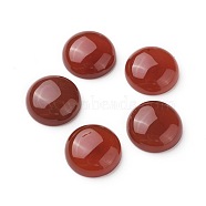Natural Red Agate/Carnelian Cabochons, Dyed, Half Round, 16x5.5~6mm(G-L507-02C-01)