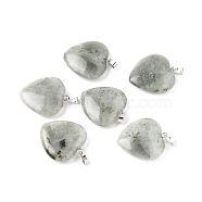 Natural Labradorite Pendants, with Platinum Tone Brass Findings, Heart, 27~28x24.5~26x6~8.5mm, Hole: 2.4x5.6mm(G-G956-B45-FF)