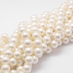 Shell Pearl Bead Strands, Grade A, Round, Floral White, 14mm, Hole: 1mm, about 28~29pcs/strand, 16 inch(X-BSHE-L026-03-14mm)