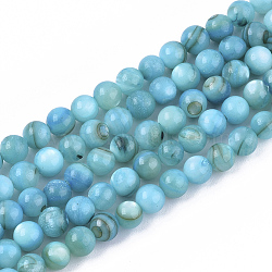 Freshwater Shell Beads Strands, Dyed, Round, Light Blue, 4mm, Hole: 0.8mm, about 95pcs/strand, 14.96 inch(38cm)(SHEL-S276-32C)