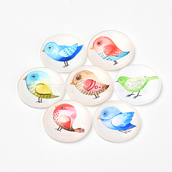 Printed Glass Flat Back Cabochons, Dome/Half Round, Bird Pattern, Mixed Color, 10x3.5mm(GGLA-Q056-012-10mm)