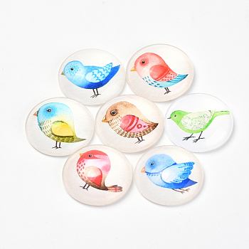 Printed Glass Flat Back Cabochons, Dome/Half Round, Bird Pattern, Mixed Color, 10x3.5mm