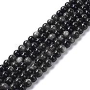 Natural Silver Obsidian Beads Strands, Round, 6mm, Hole: 1mm, about 66pcs/strand, 15.55''(39.5cm)(G-D083-01D)