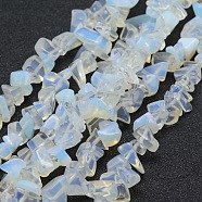 Opalite Beads Strands, Chip, 5~8mm, Hole: 1mm, about 33 inch(84cm)(G-P332-11)