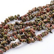 Natural Unakite Chips Beads Strands, 5~8mm, Hole: 0.3mm, 32 inch(F020)