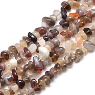Natural Botswana Agate Chip Beads Strands, 4~14x4~12mm, Hole: 1mm, about 15.3 inch~16.1 inch(G-E271-104)
