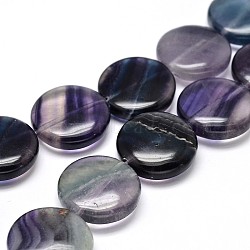 Flat Round Natural Fluorite Bead Strands, 20x7.5mm, Hole: 1mm, about 20pcs/strand, 15.5 inch(G-O106-02)