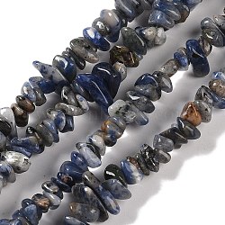 Natural Sodalite Beads Strands, Chip, 5~13x4~11x1.5~8mm, Hole: 0.6mm, 31.65''(80.4cm)(G-P530-A01-01)