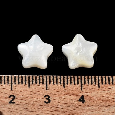 Natural White Shell Beads(SHEL-M020-02A)-2