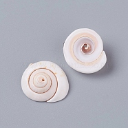 Natural Shiva Eye Shell Beads, Shell Shape, Seashell Color, 20~23x18~19x8~10mm, Hole: 1.2mm, about 150pcs/500g(BSHE-D019-03)