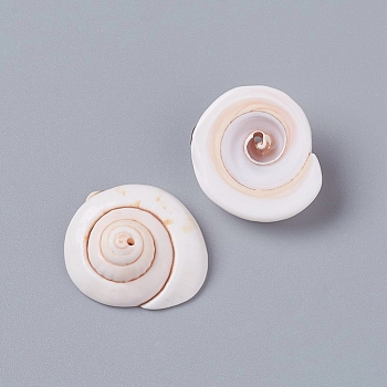 Natural Shiva Eye Shell Beads, Shell Shape, Seashell Color, 20~23x18~19x8~10mm, Hole: 1.2mm, about 150pcs/500g