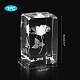 Transparent Glass Display Decorations(DJEW-WH0010-40)-2