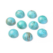 Natural Howlite Cabochons, Dyed, Half Round, Dark Turquoise, 16x7mm(TURQ-L031-033B-01)