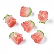 Plastic Beads, Flower, Tomato, 15x14x14mm, Hole: 1.2mm(X-KY-N015-036C)