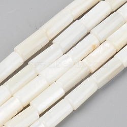 Natural Freshwater Shell Beads Strands, Column, Seashell Color, 10x5mm, Hole: 0.9mm, about 38pcs/Strand, 14.96 inch(38cm)(X-SSHEL-R048-006B)