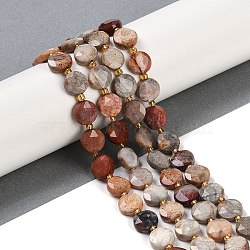 Natural Fossil Coral Beads Strands, Faceted Pentagonal Cut, Flat Round, with Seed Beads, 10~10.5x5~6mm, Hole: 1mm, about 32~33pcs/strand, 15.75''(40cm)(G-C116-A27-01)