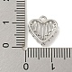 Подвеска из латуни с микропаве на День святого Валентина и фианитами(ZIRC-R020-02P)-3