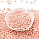 6/0 Glass Seed Beads(SEED-L011-08A-25)-2