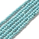 Natural Howlite Beads Strands(G-C025-03B-01)-1