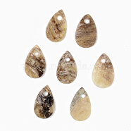 Natural Akoya Shell Charms, Mother of Pearl Shell Charms, Teardrop, Camel, 11x7x1mm, Hole: 1.4mm(SHEL-R048-025)