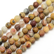 Frosted Natural Crazy Lace Agate Round Bead Strands, Crazy Lace Agate, 6mm, Hole: 1mm, about 63~65pcs/strand, 14.9~15.6 inch(G-M063-6mm-02)