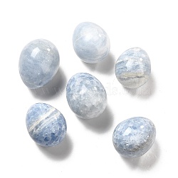 Natural Celestite Home Display Decorations, Egg Shape, 55~65x40~50mm(G-G986-04A)