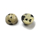 Natural Dalmatian Jasper Cabochons(G-H309-03-50)-2