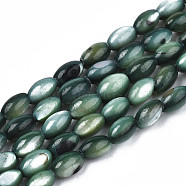 Natural Freshwater Shell Beads Strands, Dyed, Rice, Dark Slate Blue, 5x3mm, Hole: 0.9mm, about 80~83pcs/strand, 14.76 inch~15.55 inch(37.5~39.5cm)(SHEL-N003-25-B01)