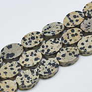 Natural Dalmatian Jasper Beads Strands, Oval, 14~15x10~11x5mm, Hole: 1mm, about 28pcs/strand, 15.3 inch~16.1 inch(G-T122-04J)