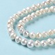 Natural Cultured Freshwater Pearl Beads Strands(PEAR-E018-47)-4