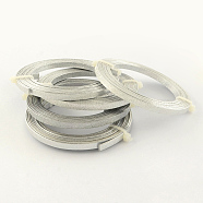Textured Aluminum Wire, Bendable Metal Craft Wire, Flat Craft Wire, Bezel Strip Wire for Cabochons Jewelry Making, Silver, 18 Gauge, 5x1mm, about 6.56 Feet(2m)/roll(X-AW-R003-2m-01)