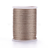Polyester Metallic Thread, Tan, 1mm, about 7.65 yards(7m)/roll(OCOR-G006-02-1.0mm-05)