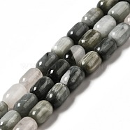 Natural Eagle Eye Stone Beads Strands, Column, 9x6mm, Hole: 0.9~1mm, about 20~21pcs/strand, 7.09~7.48 inch(18~19cm)(G-G980-14)