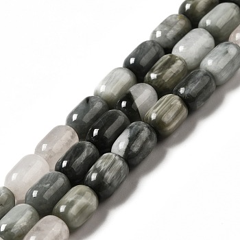 Natural Eagle Eye Stone Beads Strands, Column, 9x6mm, Hole: 0.9~1mm, about 20~21pcs/strand, 7.09~7.48 inch(18~19cm)