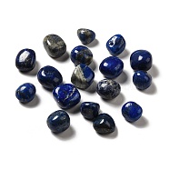 Natural Lapis Lazuli Beads, Tumbled Stone, Healing Stones, for Reiki Healing Crystals Chakra Balancing, Vase Filler Gems, No Hole/Undrilled, Nuggets, 17~30x15~27x8~22mm(G-G979-A03)