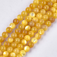Yellow Shell Beads Strands, Dyed, Round, Orange, 6mm, Hole: 1mm, about 69pcs/strand, 15.7 inch(SHEL-T012-50E)