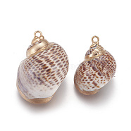 Electroplate Spiral Shell Pendants, with Brass Findings, Conch, Golden, 25~30x18~24mm, Hole: 2mm(SSHEL-O019-26)