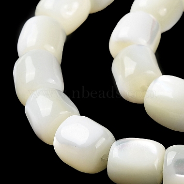 brins de perles de coquillages naturels de troca(BSHE-E030-05A)-4