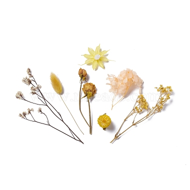 Dried Flowers(X-DIY-D052-12)-2
