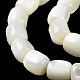 brins de perles de coquillages naturels de troca(BSHE-E030-05A)-4