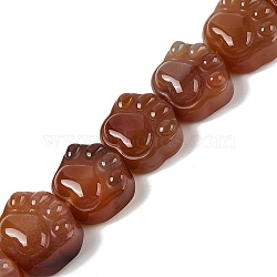 Natural Red Agate Beads Strands, Cat's Paw, 16x14x9.5mm, Hole: 1mm, about 13pcs/strand, 7.20''(18.3cm)(G-M108-A07-01)