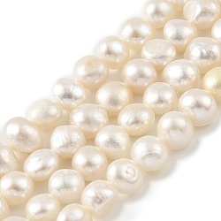 Natural Cultured Freshwater Pearl Beads Strands, Two Sides Polished, Old Lace, 5~6mm, Hole: 0.5mm, about 31pcs/strand, 6.89''(17.5cm)(PEAR-A006-04E)