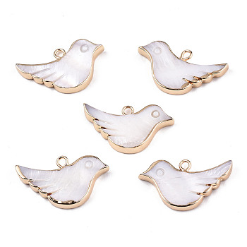 Natural Freshwater Shell Pendants, with Iron Loops, Brass Edge Golden Plated, Bird, Rosy Brown, 14x25x3mm, Hole: 1.8mm