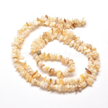 Natural Freshwater Shell Chip Bead Strands(G-M205-20)-2