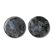 Natural Larvikite Pendants, Flat Round Charms, 29.5~30x3mm, Hole: 1.6mm(G-B071-01J)