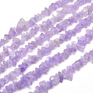 Natural Amethyst Chip Bead Strands, 5~8x5~8mm, Hole: 1mm, about 31.5 inch(G-M205-35)