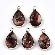 Teardrop Assembled Synthetic Bronzite and Regalite/Imperial Jasper Pendants, with Iron Loop and Brass Edge, Light Gold, Dyed, Indian Red, 22~23x14x5~6mm, Hole: 2mm(G-N330-022-D07)