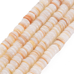 Natural Freshwater Shell Beads Strands, Flat Round/Disc, Antique White, 6x1~2mm, Hole: 0.5mm, about 190~200pcs/strand, 14.76 inch~15.16(37.5cm~38.5cm)(SHEL-T018-31)